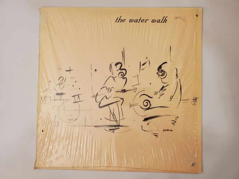 Unknown the water walk vinyl record